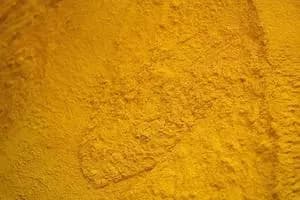 Farinha de glúten de milho (60% de proteína mínima) - Indonésia