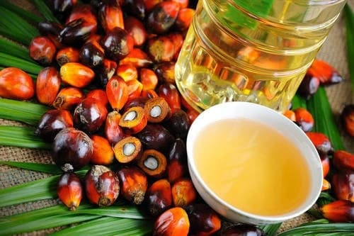 Aceite de palma RBD